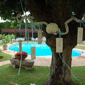 Albero decorato